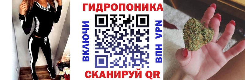 мега ссылка  Магадан  Каннабис планчик 